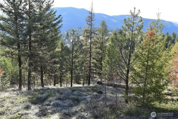 Property Photo: 70 Excelsior Way WA 99166