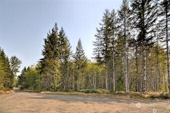Property Photo: 0 Xxxx Pathfinder Drive WA 98528
