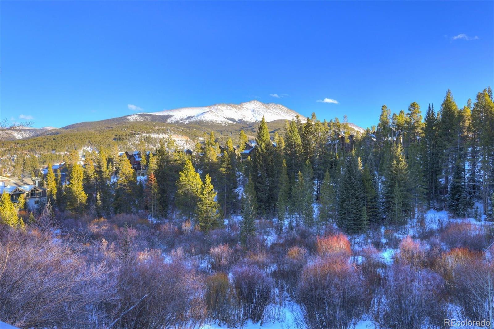 Property Photo:  965 Four Oclock Road  CO 80424 