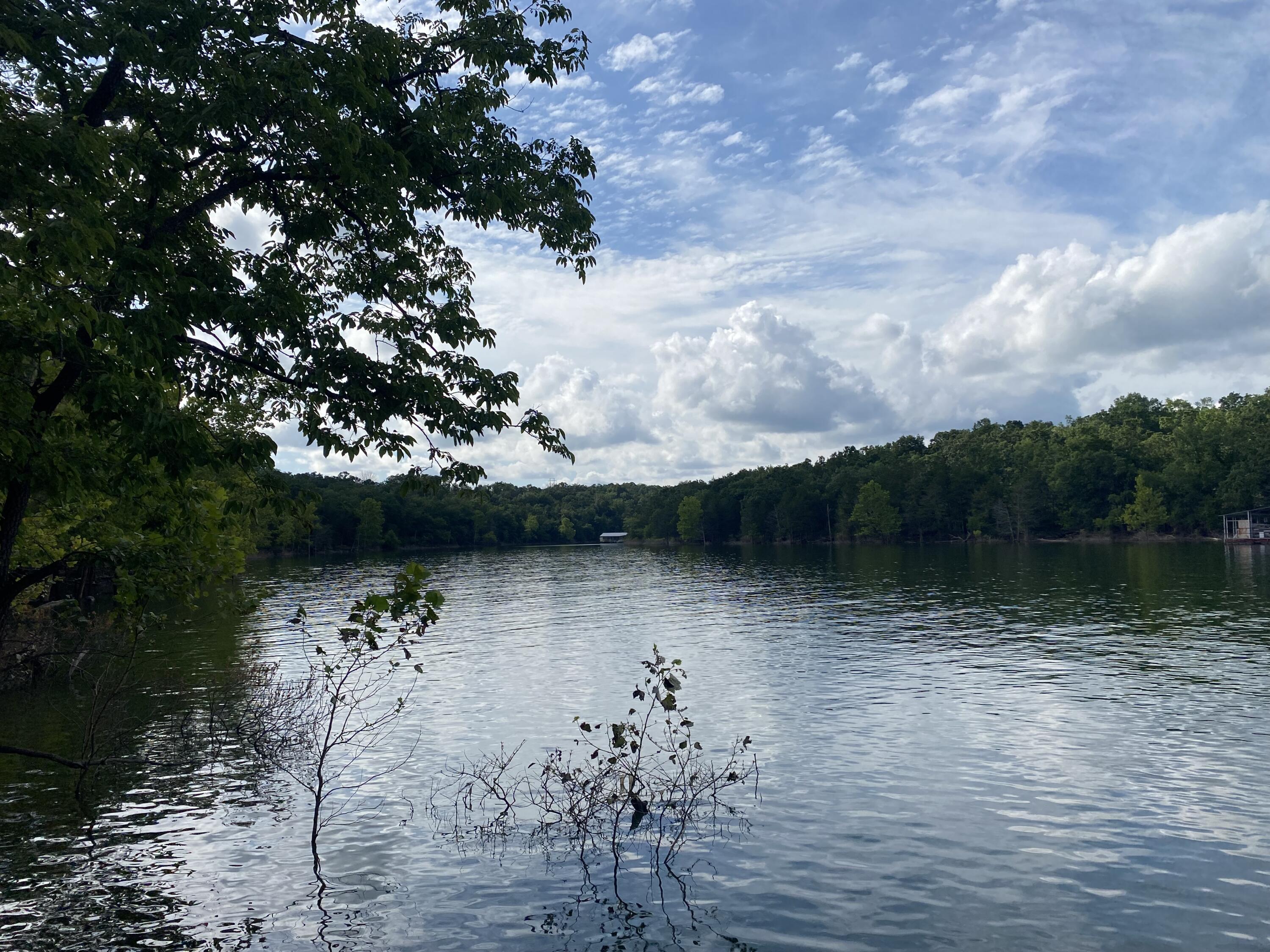 Property Photo:  000 Wooley Creek Road  MO 65624 