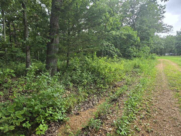 Property Photo: Tbd County Road 481W MO 65634