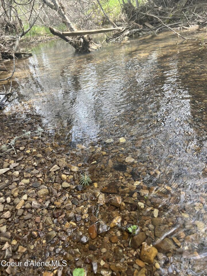 Property Photo:  Nka 100 Windfall Pass Rd  ID 83861 