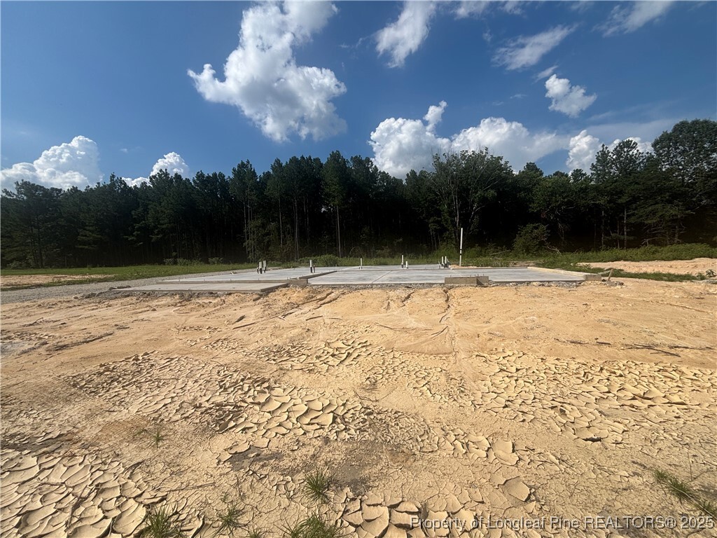 Property Photo: 2908 Calloway Road NC 28376