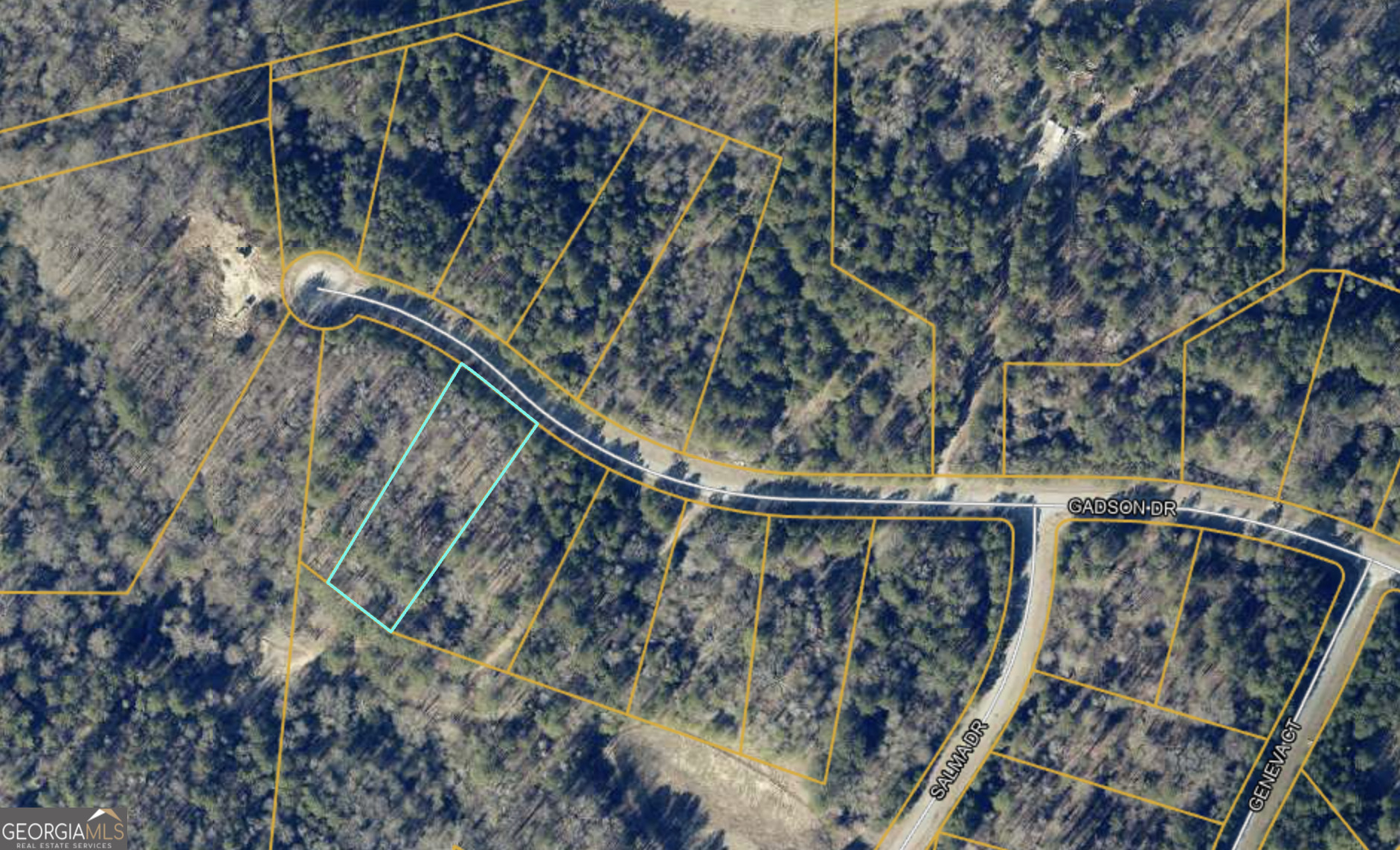 Property Photo: 240 Gadson Drive Lot 44 GA 30214