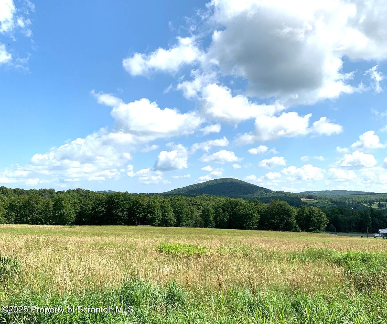 Property Photo: 529 Pa-370 PA 18470