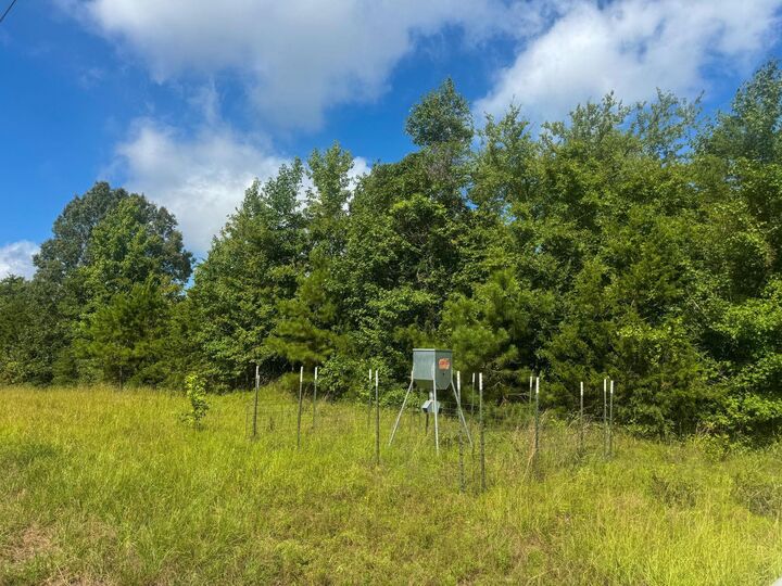 Property Photo:  0000 Cr 1617 (Liberty Church Rd)  TX 75630 