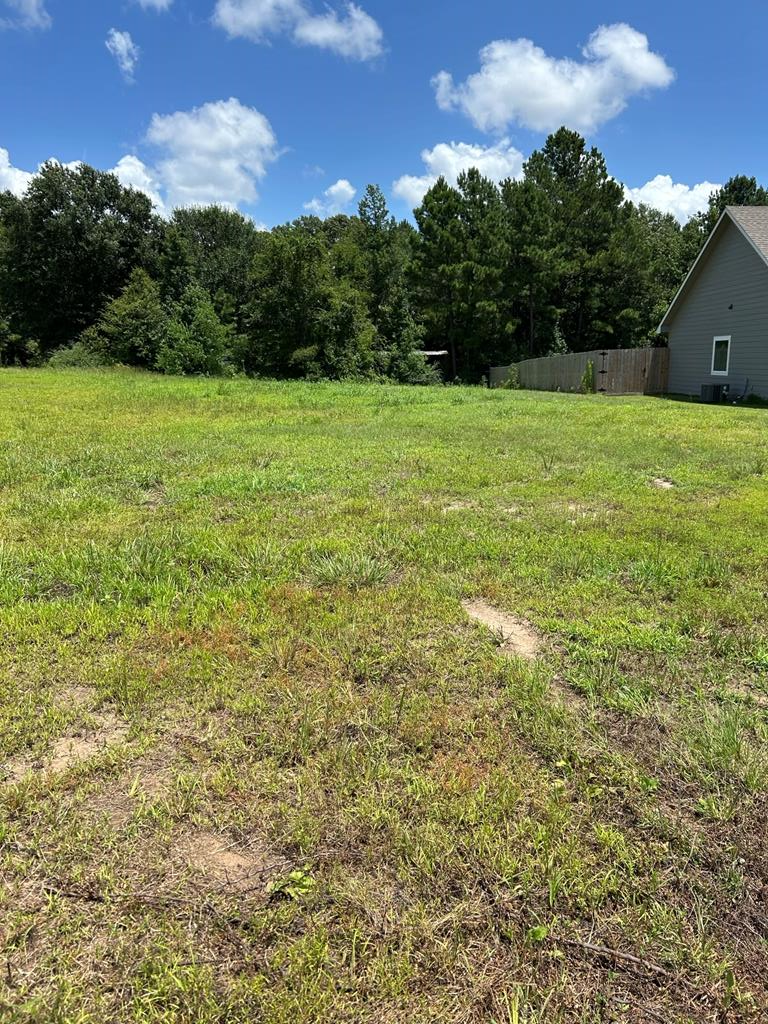 Property Photo: R143727 (Lot 4) Dena Kay Drive TX 74904