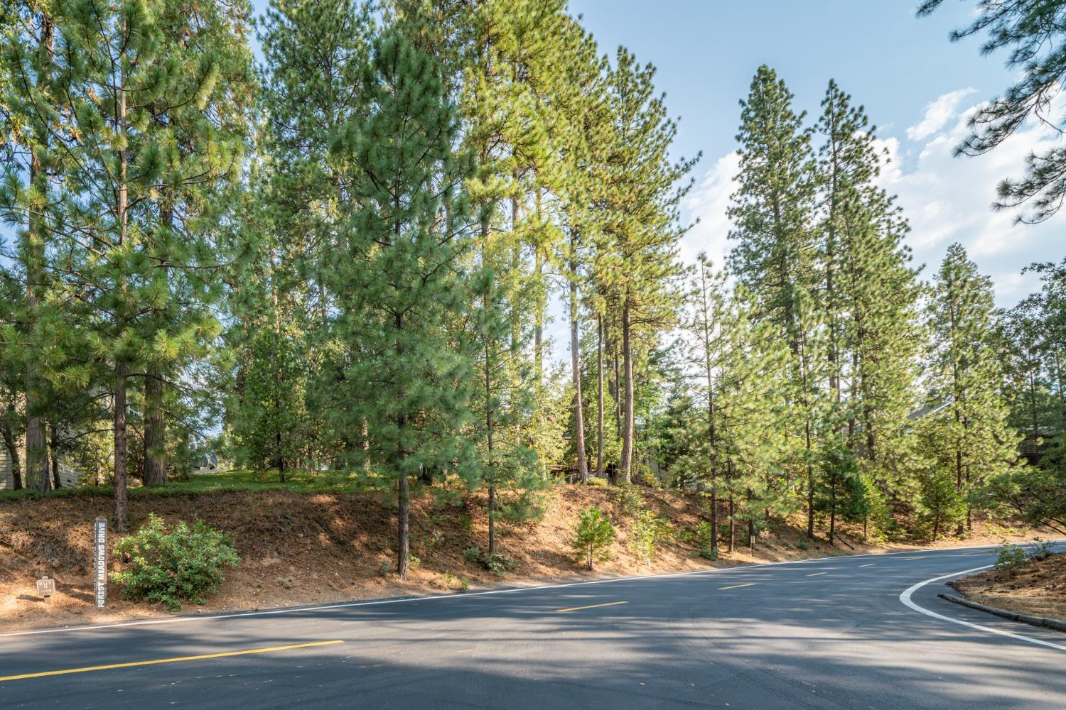 Property Photo:  51 Canterwood Lane  CA 95247 