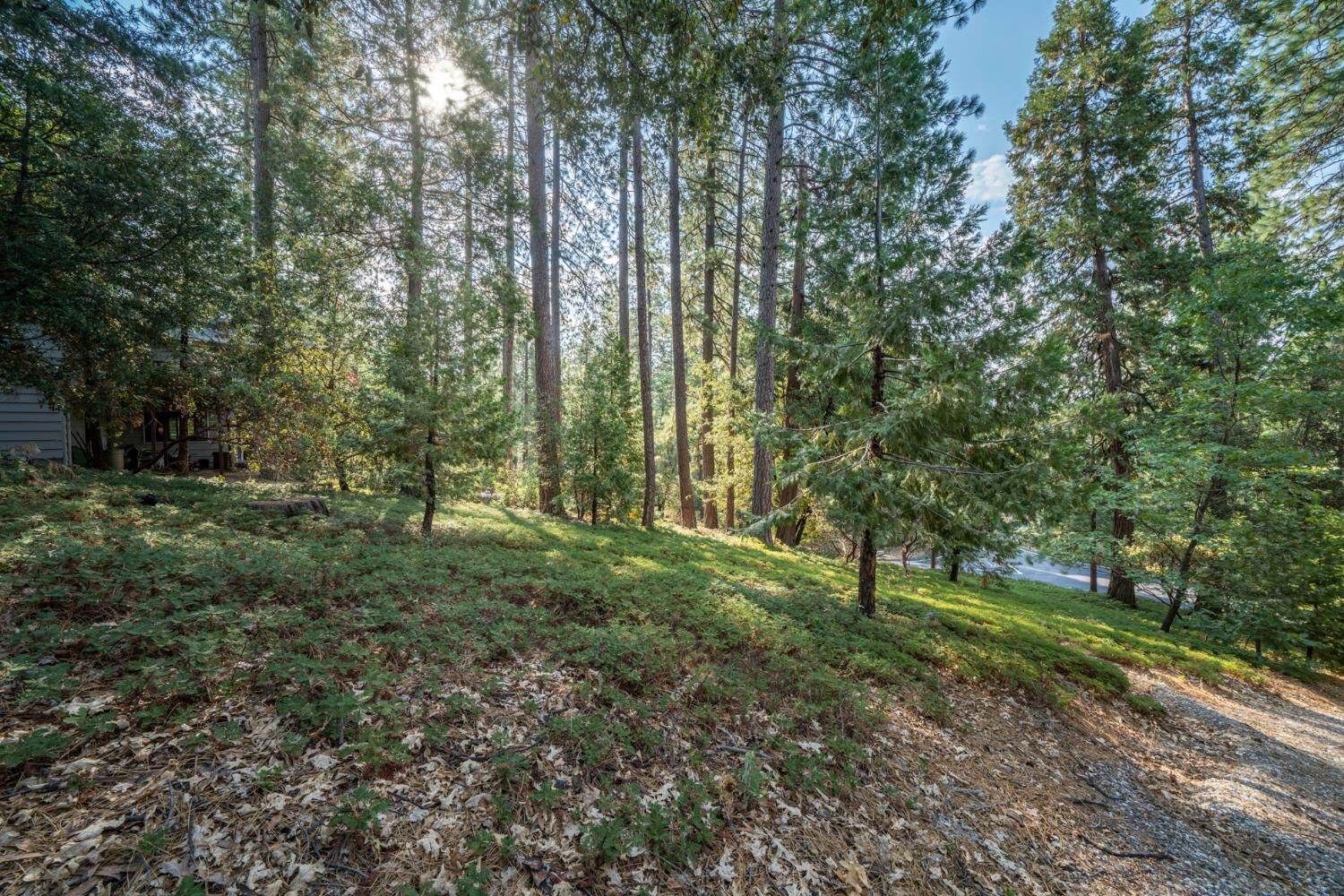 Property Photo: 51 Canterwood Lane CA 95247