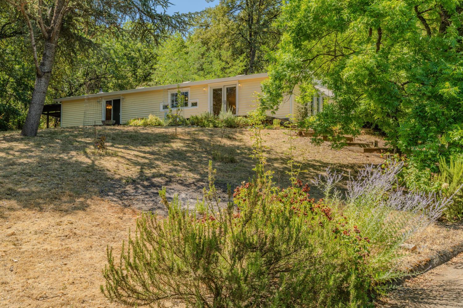 3145 Life Way  Placerville CA 95667 photo