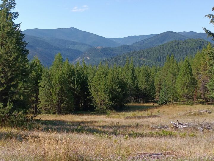 632 Finley Road  De Borgia MT 59830 photo