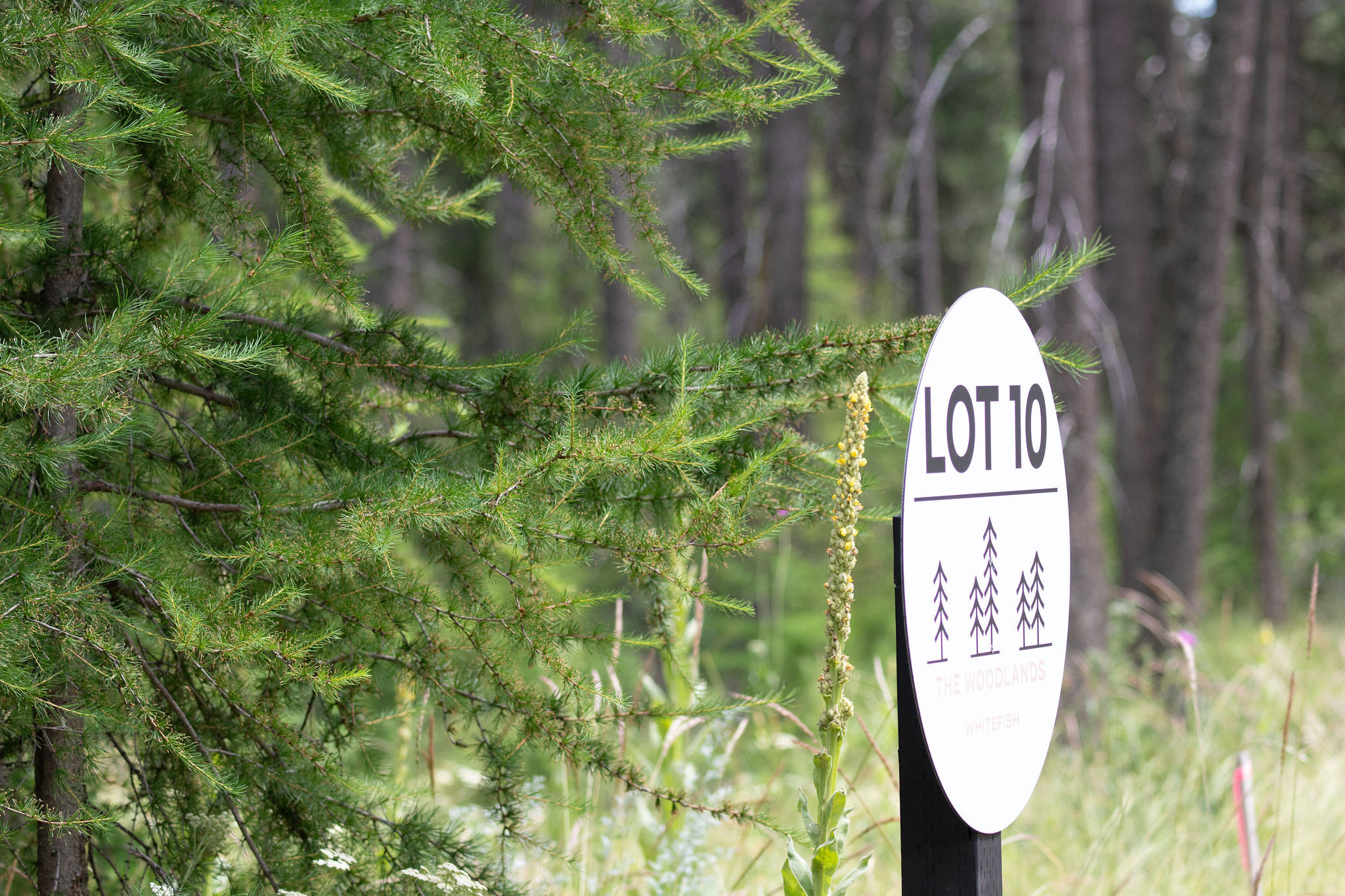 Property Photo:  161 Rosewood Lot 10  MT 59937 