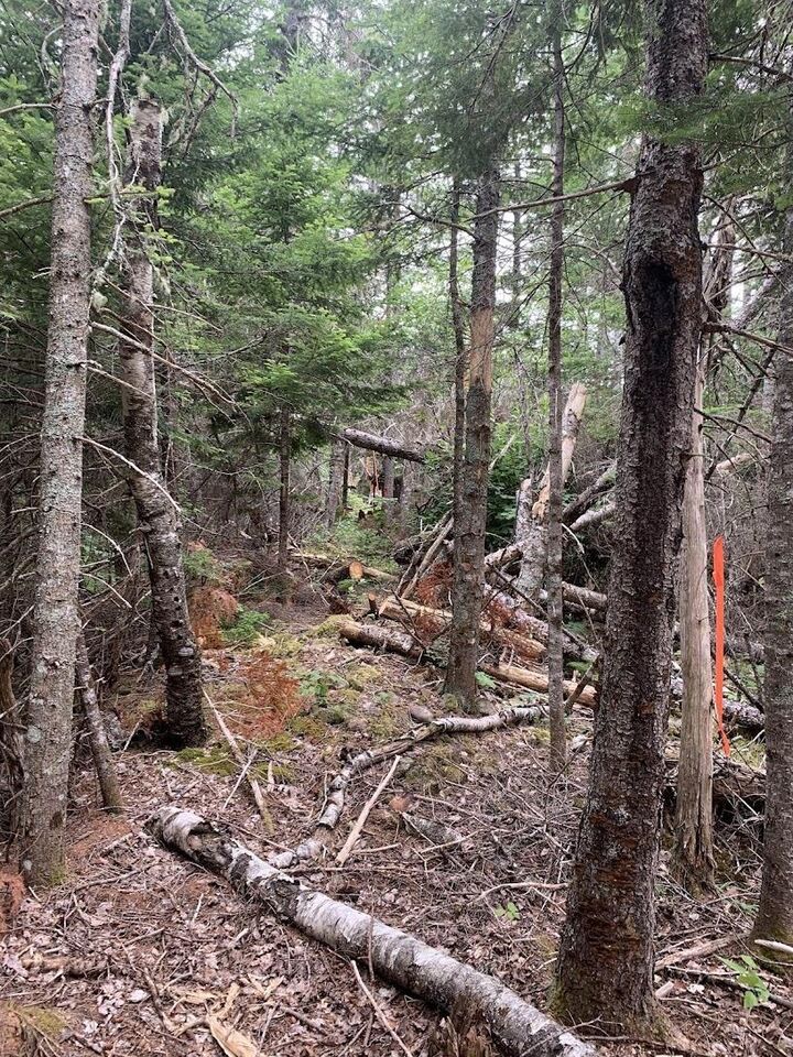 Property Photo:  Vv3 Lot 3 Hunter Road  NS B0M 1Z0 