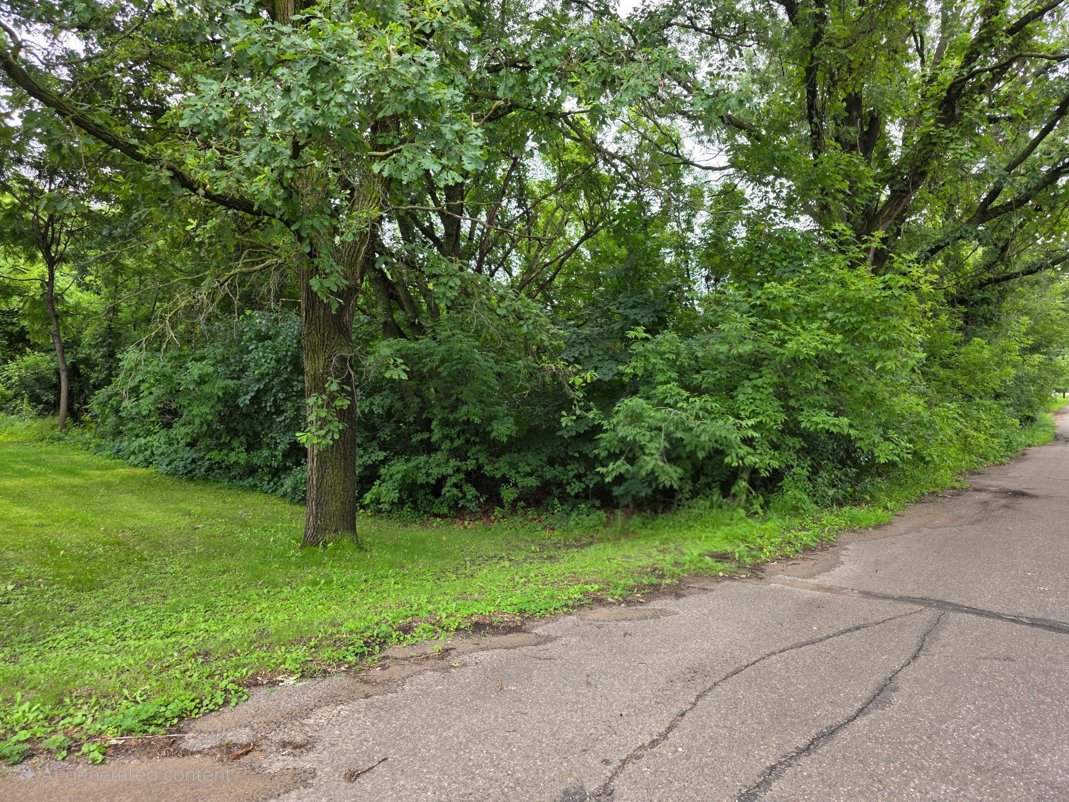 Property Photo:  Tbd Michigan Avenue  MN 56441 
