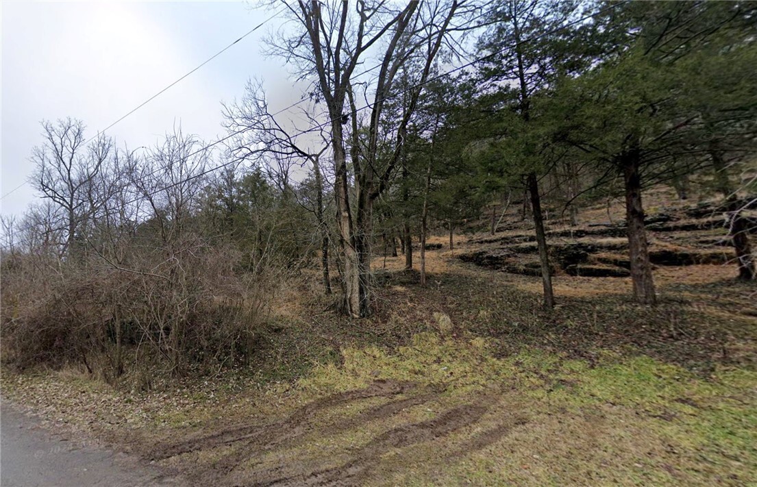 Property Photo: Lot 3 Mill Hollow Road AR 72632
