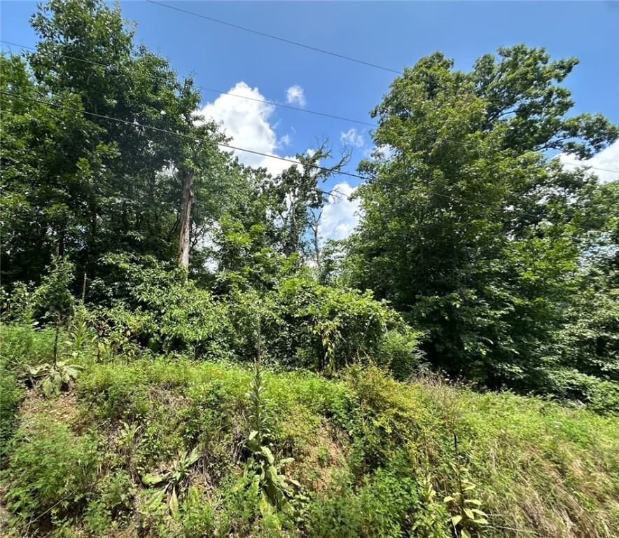 Property Photo:  14044 Villera Drive  AR 72758 