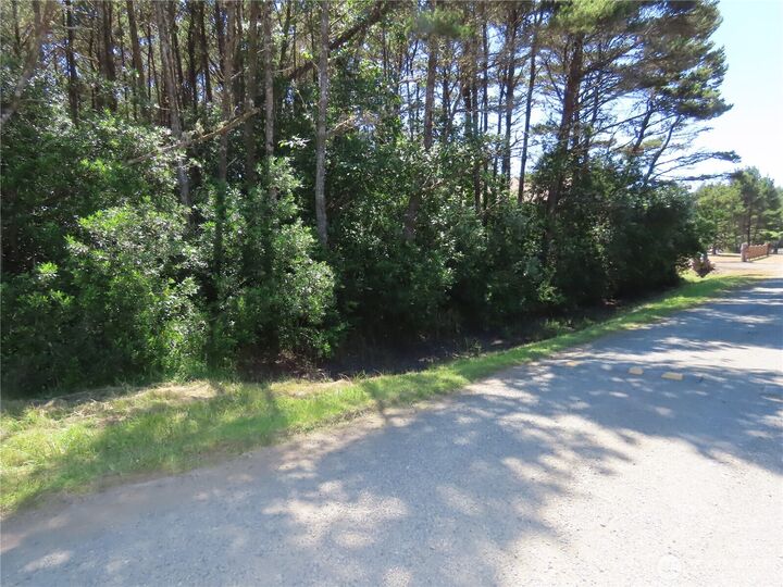 Property Photo: 0 Surf Street WA 98595