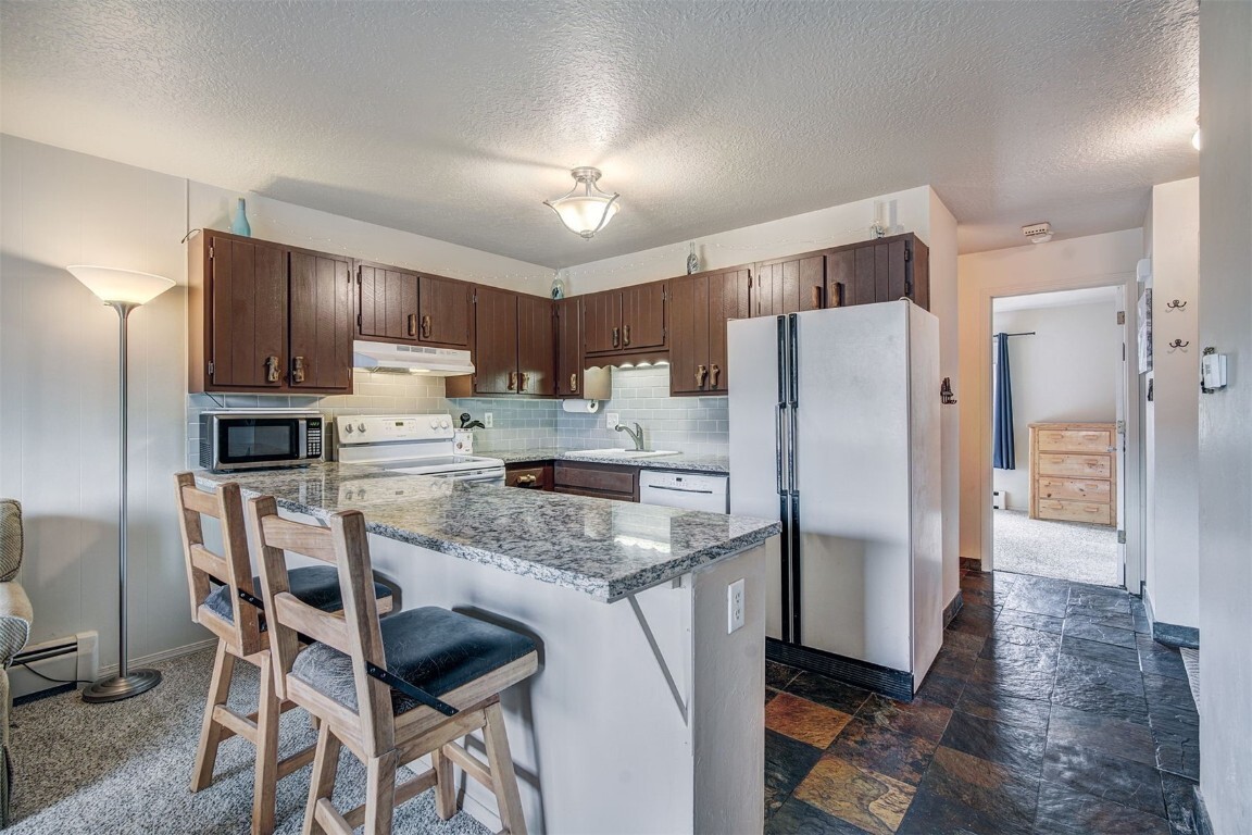 Property Photo: 1003 Straight Creek Drive 202 CO 80435