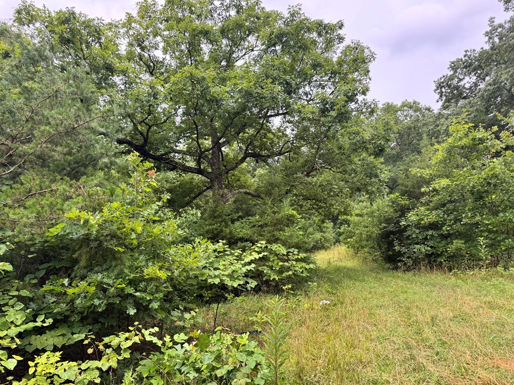 Property Photo:  512 Pleasant Hill Road  OH 45690 
