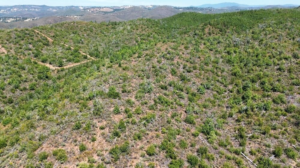 Property Photo:  8519 Maranatha Lane  CA 95245 