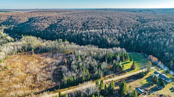 Property Photo:  Tbd Fox Drive  MI 49935 