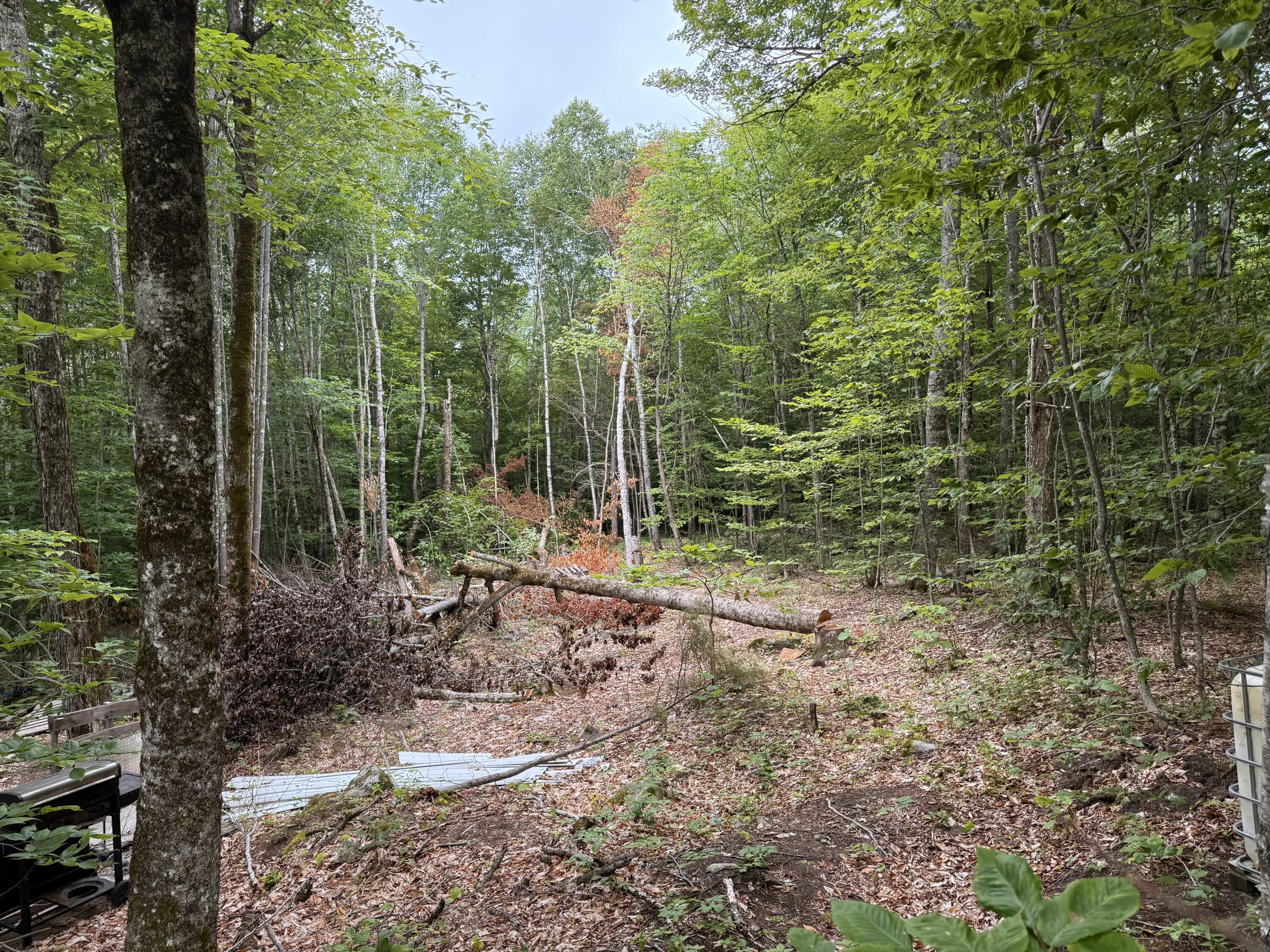 Property Photo: 070K Fern Road ME 04426