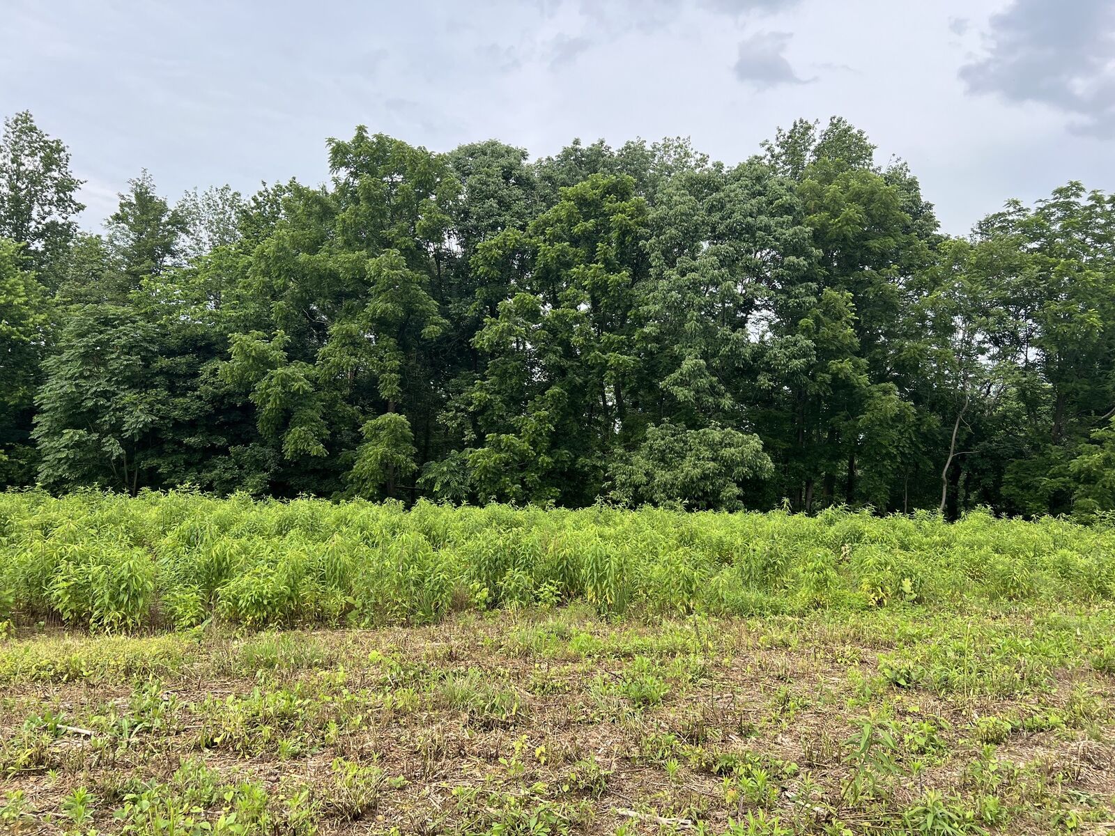 Property Photo:  6 Annie Hollow Rd  TN 37186 