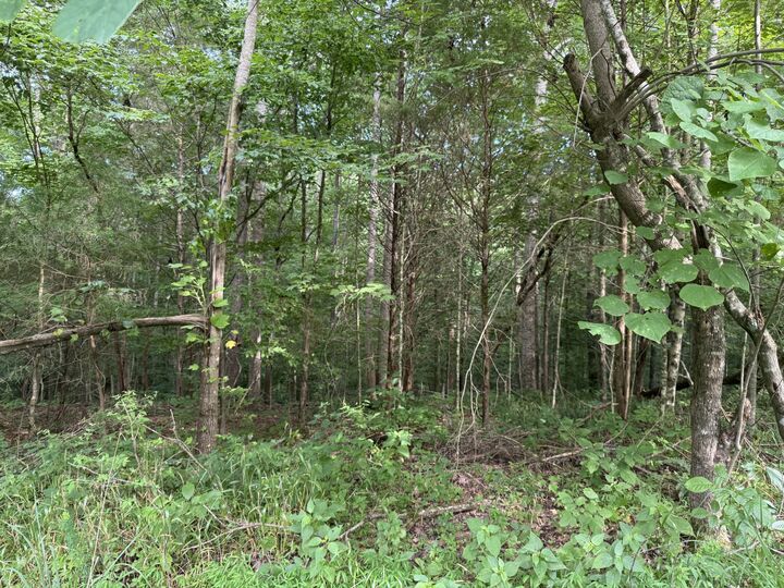 Property Photo:  0 Pryor Lane  TN 37186 