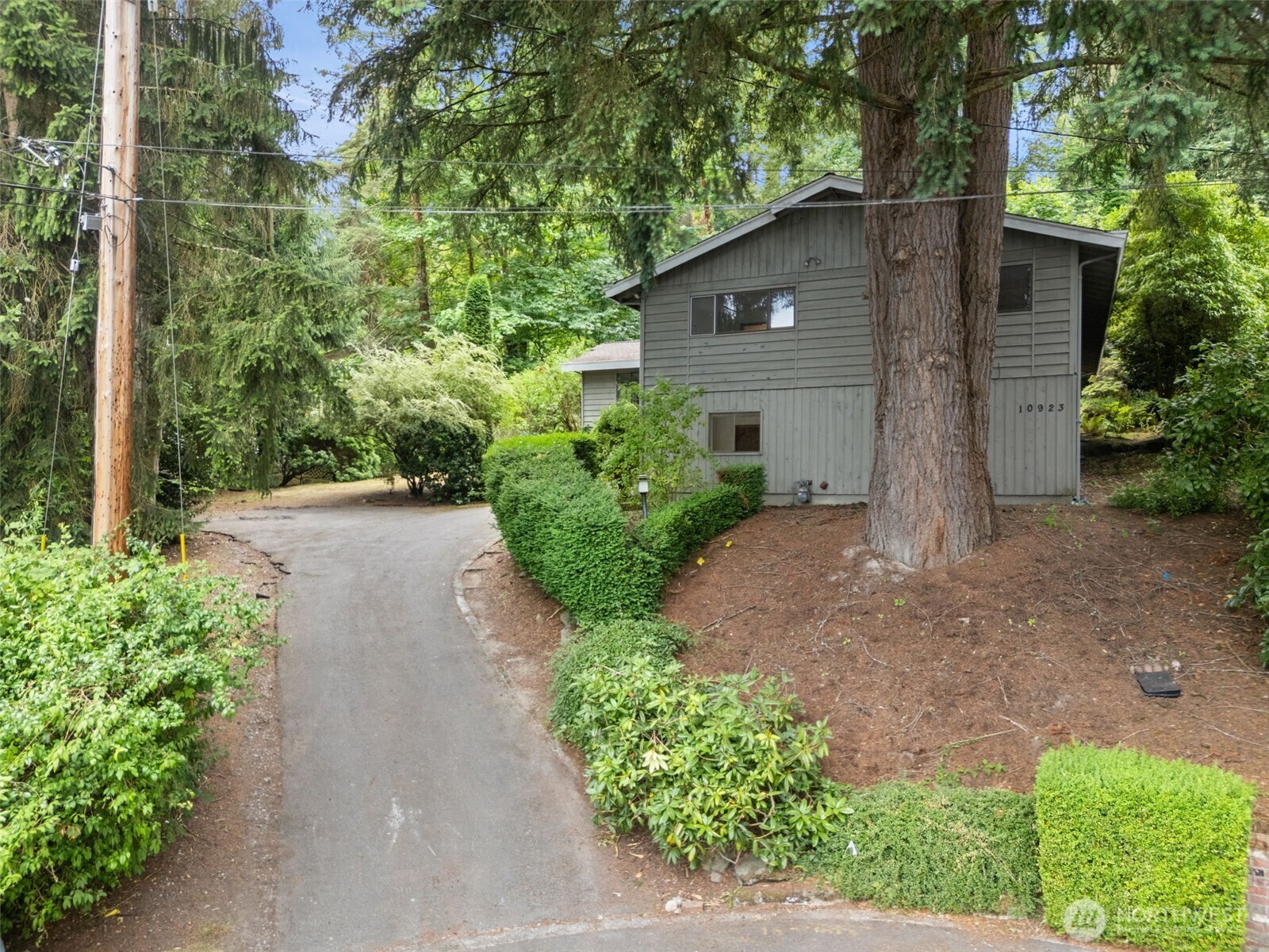 10923 SE 10th Place  Bellevue WA 98004 photo