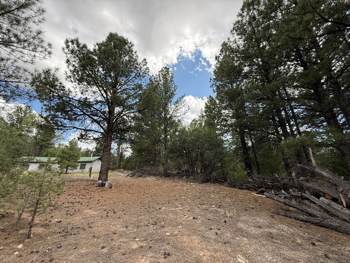 Property Photo:  2318 Old Red River Road  NM 87556 