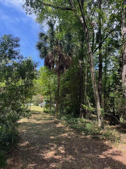 Property Photo: Rutledge Drive SC 29048
