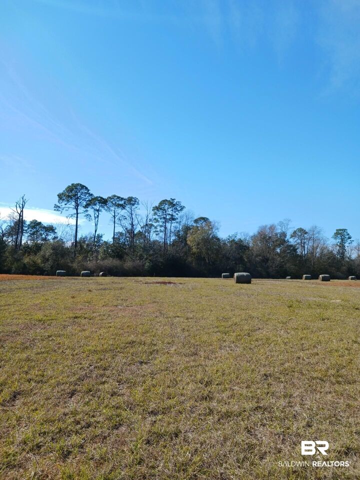 Property Photo:  23486 County Road 36  AL 36580 