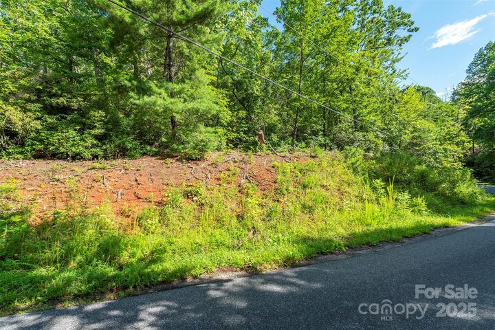 Property Photo: Tbd McKenzie Way N NC 28762