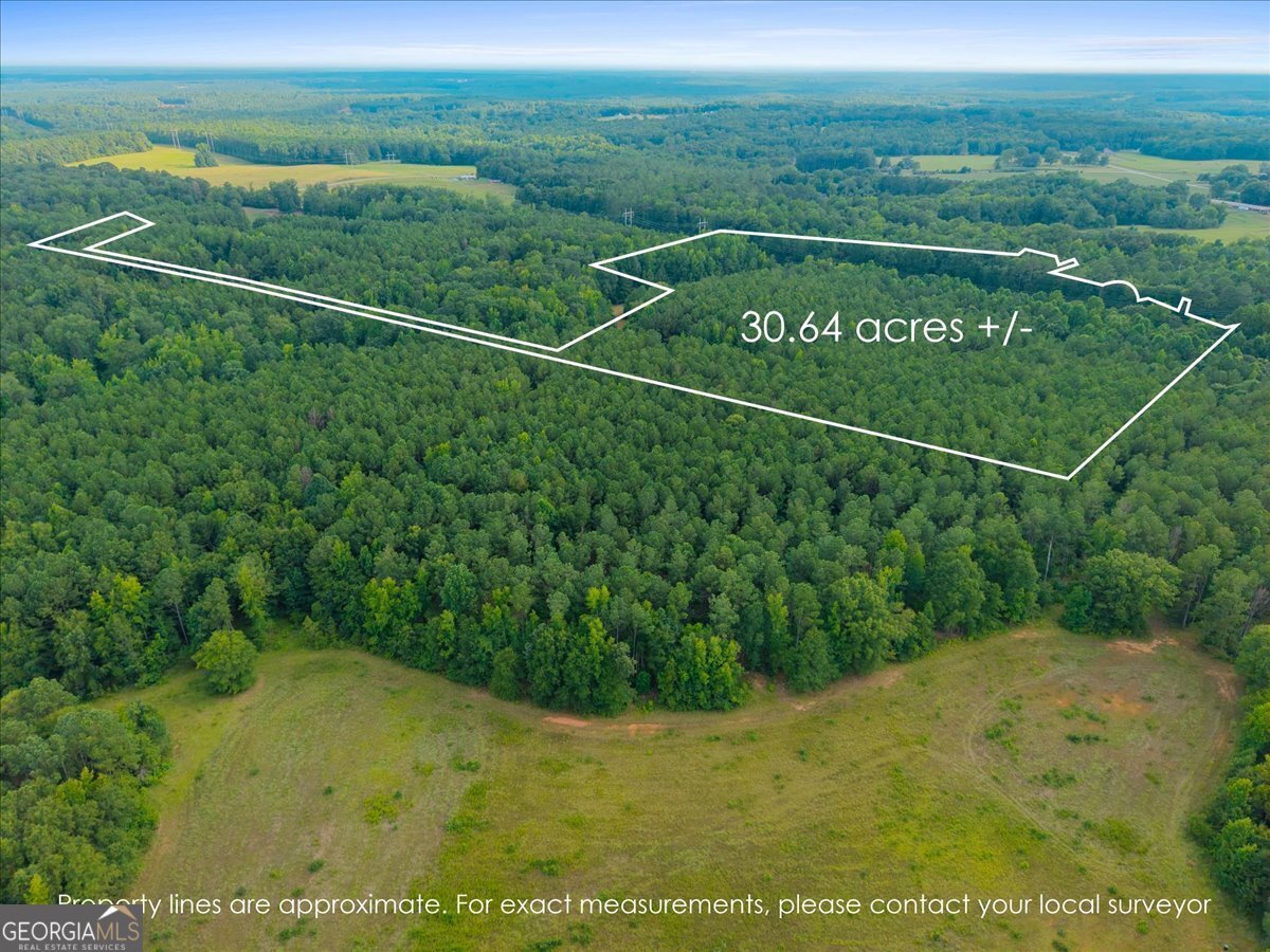 Property Photo: 0 Dickson Road GA 30663