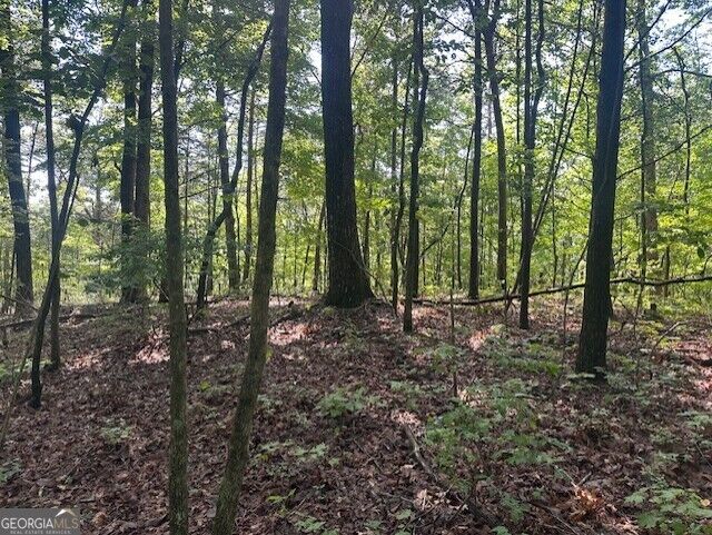 Property Photo:  Tr3 - 3.83 Acre Wendy Hill Road  GA 30175 