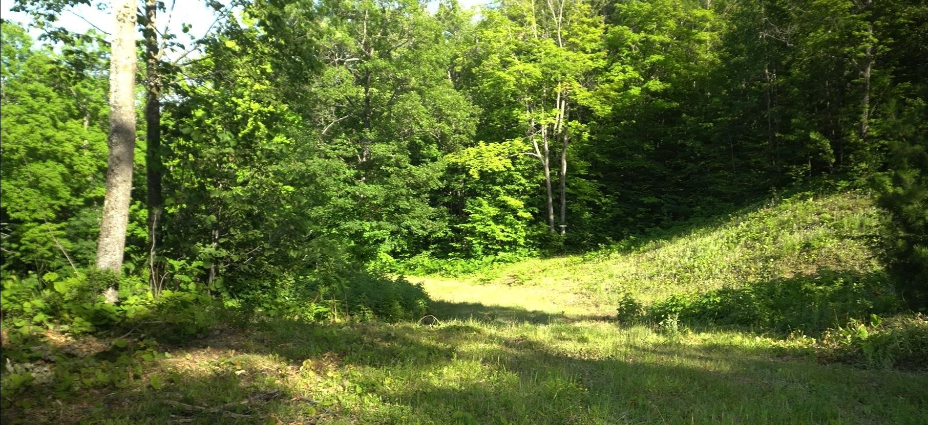 Property Photo: 83xxx Ashwabay Heights Rd Lot 11 WI 54814