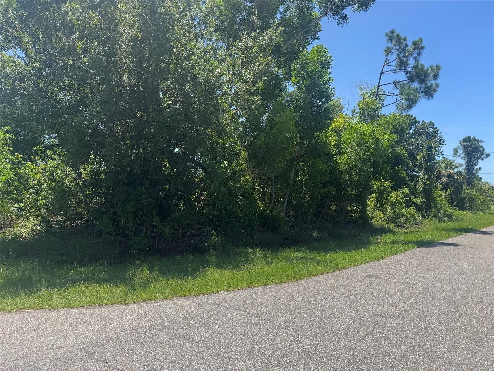 Property Photo: 12399 Deepwoods Avenue FL 33981
