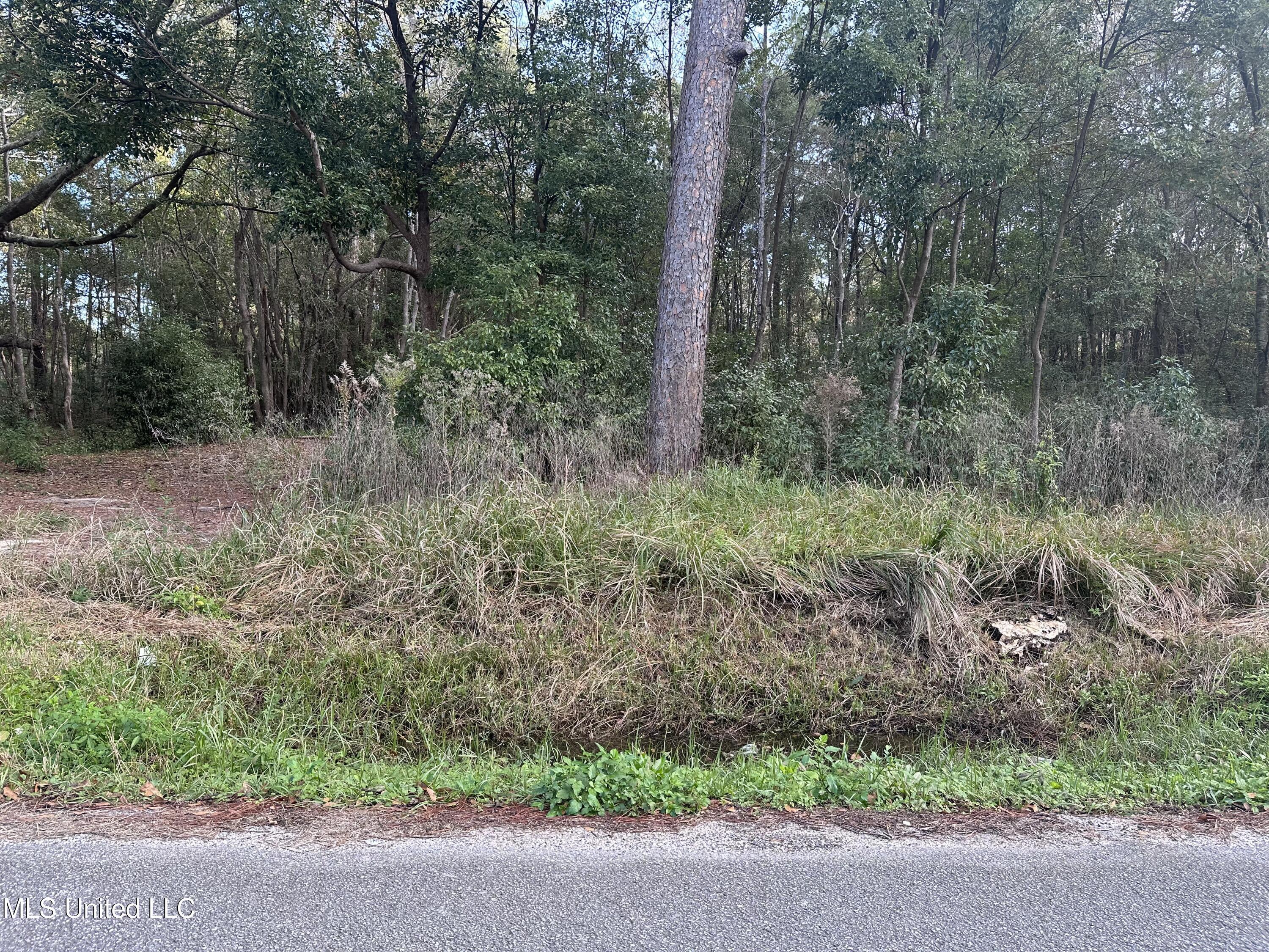 Property Photo: 6461 Simmons Drive MS 39560