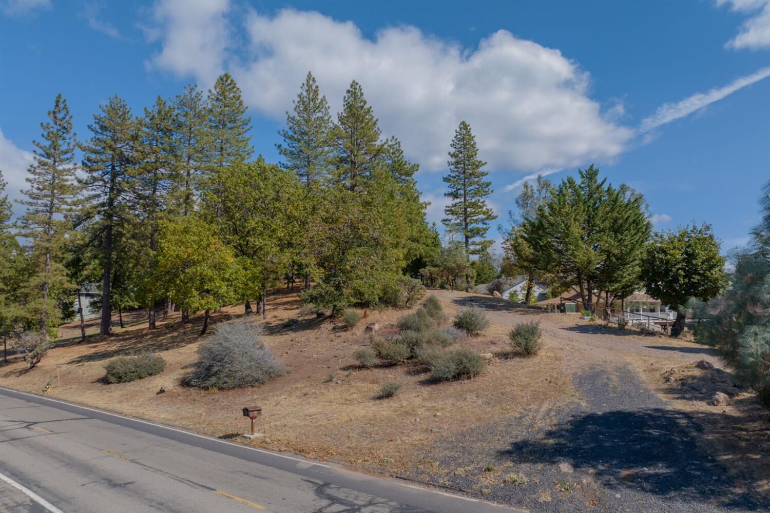 Property Photo: 323 Forest Meadows Drive CA 95247