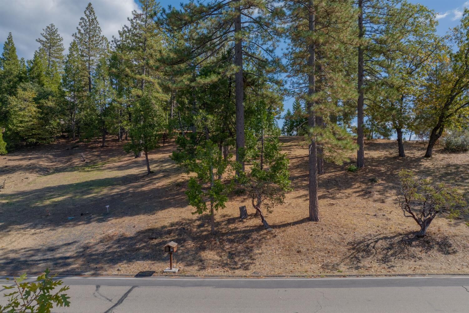 Property Photo:  323 Forest Meadows Drive  CA 95247 