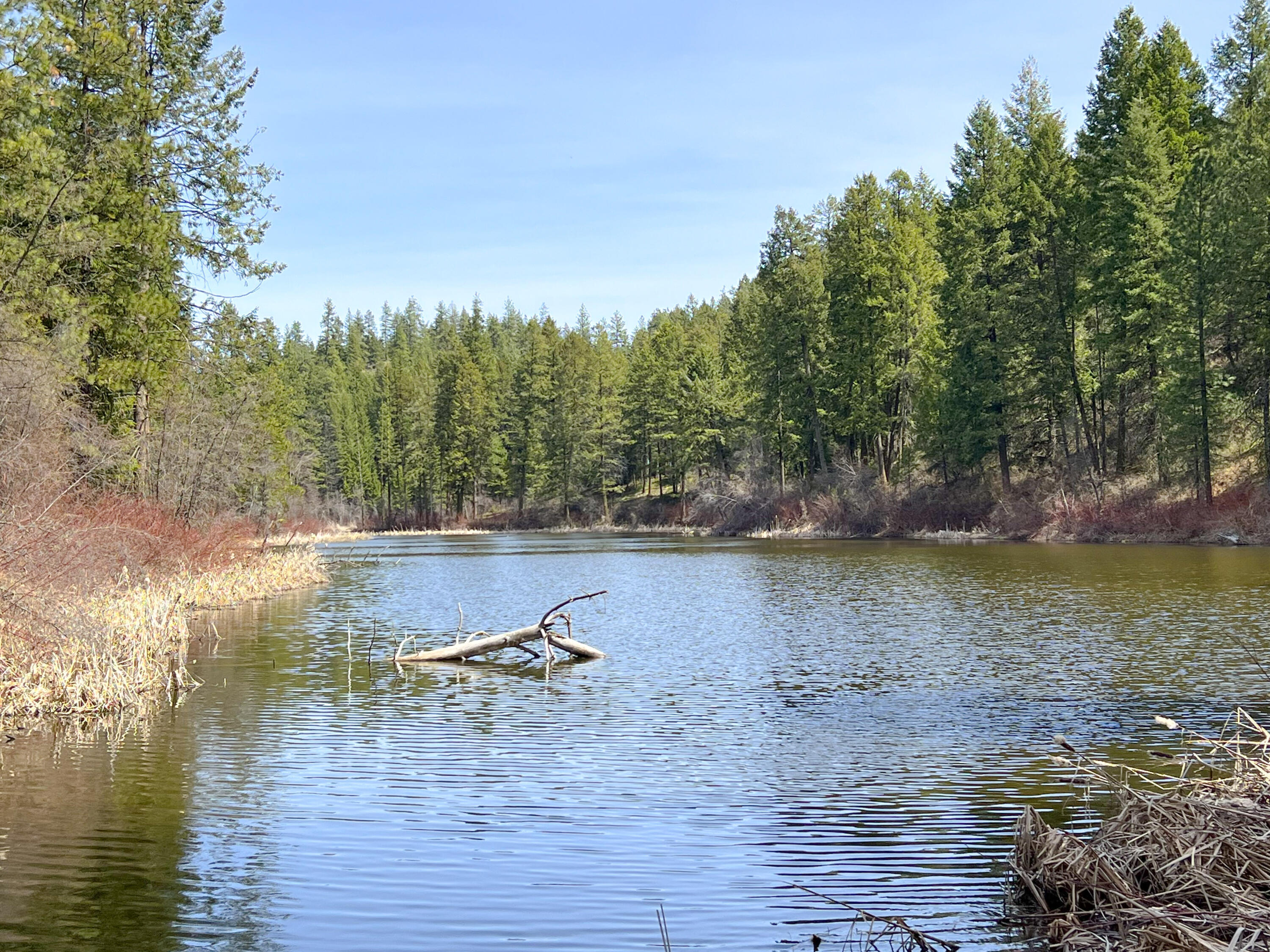 Property Photo: Nka Apex Rd WA 99138