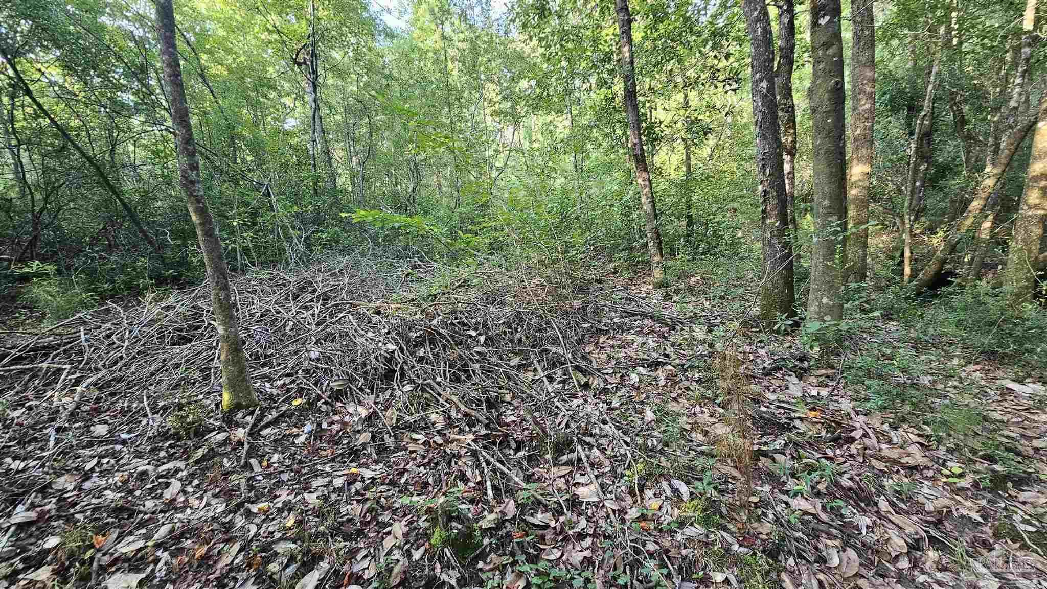Property Photo: 2561 Creek Chase Trl FL 32571