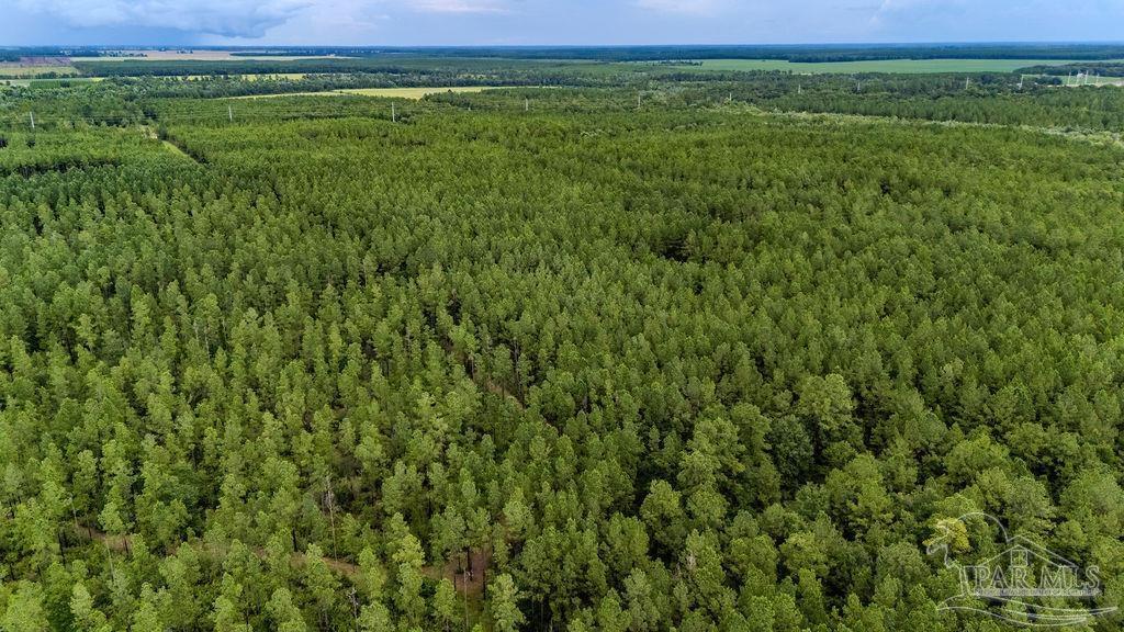 19.58 Sage Forest Ln  Pace FL 32571 photo
