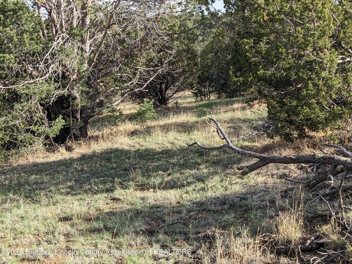 Property Photo:  Lot165-166 Corvo Crista 2  NM 88312 