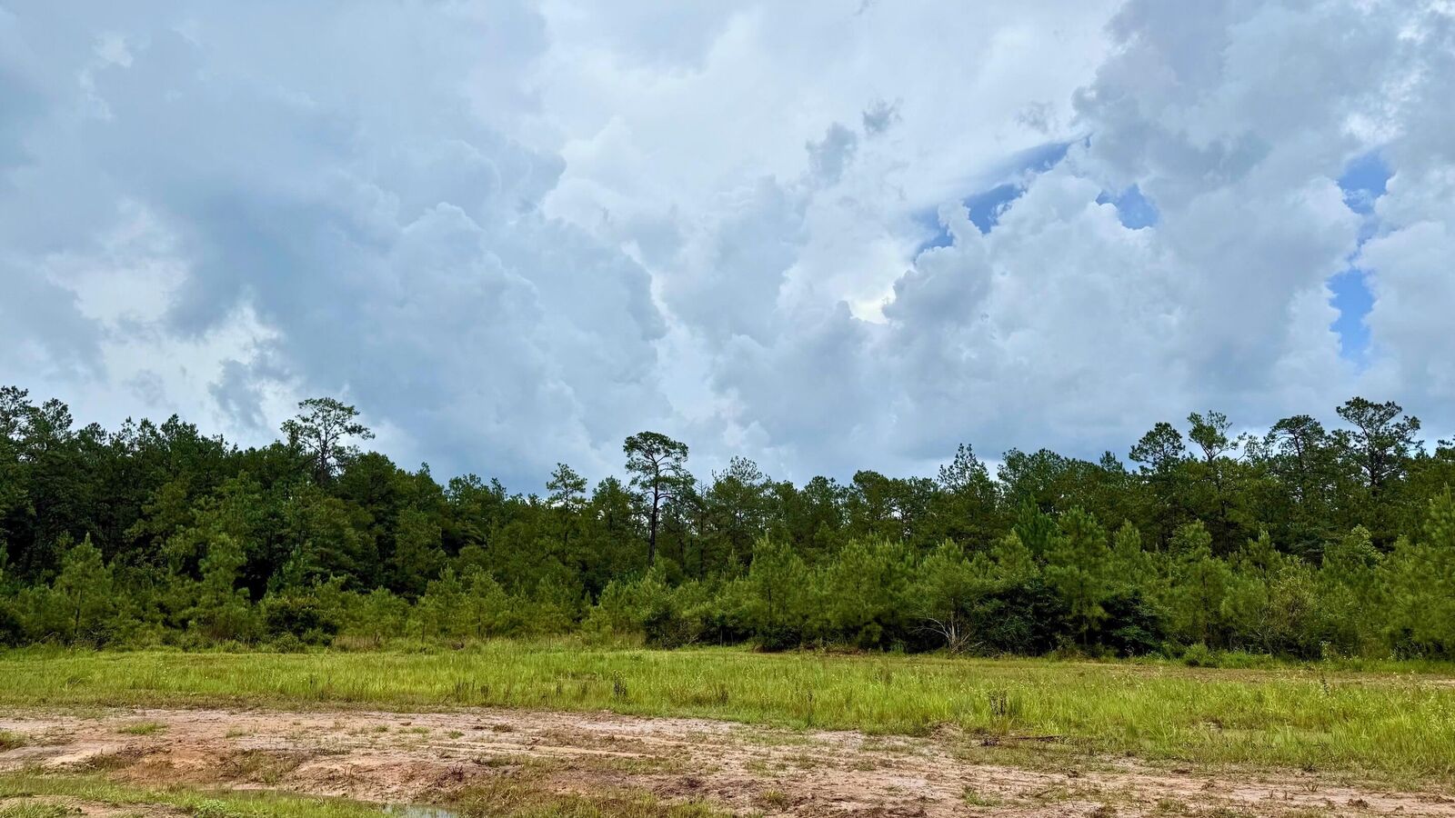 Property Photo: 13285 Blackberry Dr TX 77657