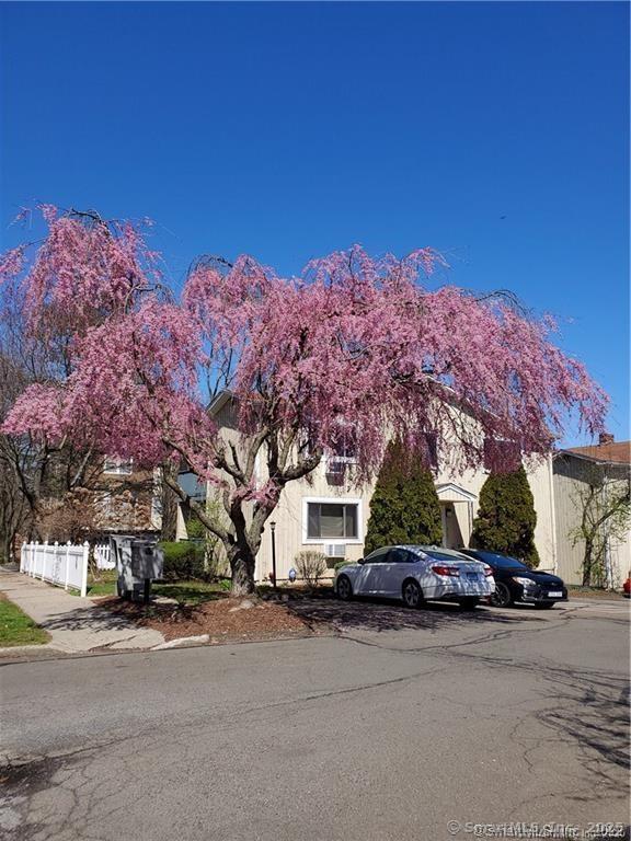 Property Photo: 60 Plainfield Avenue 12 CT 06516