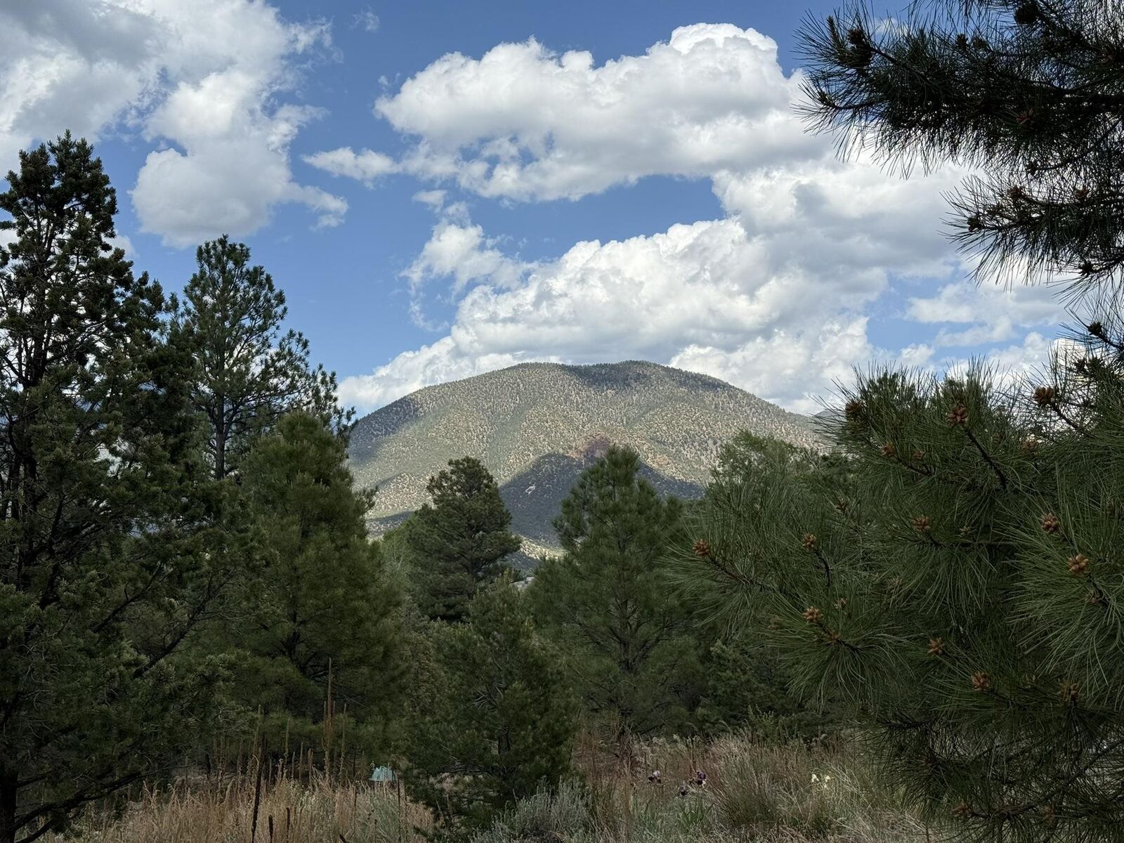 Property Photo: 2318 Old Red River Road B NM 87556