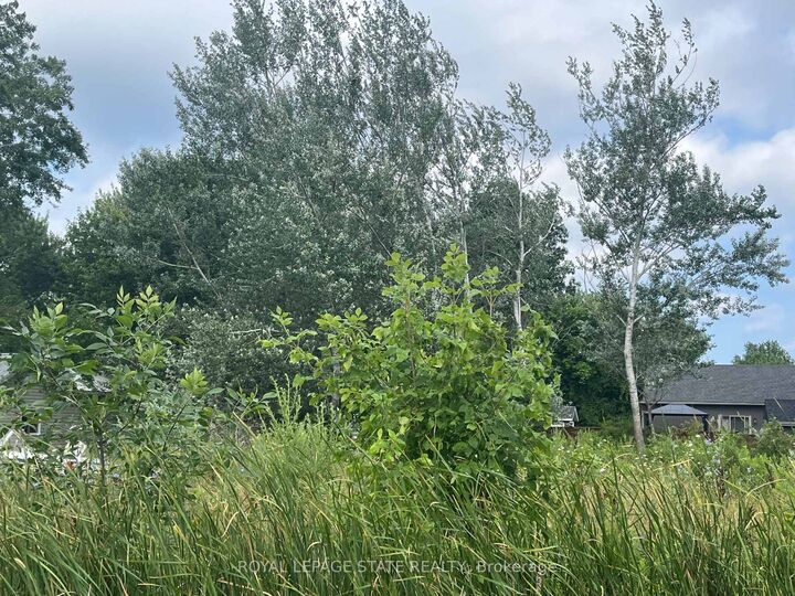 Property Photo:  17 Dickhout Road  ON N0A 1K0 