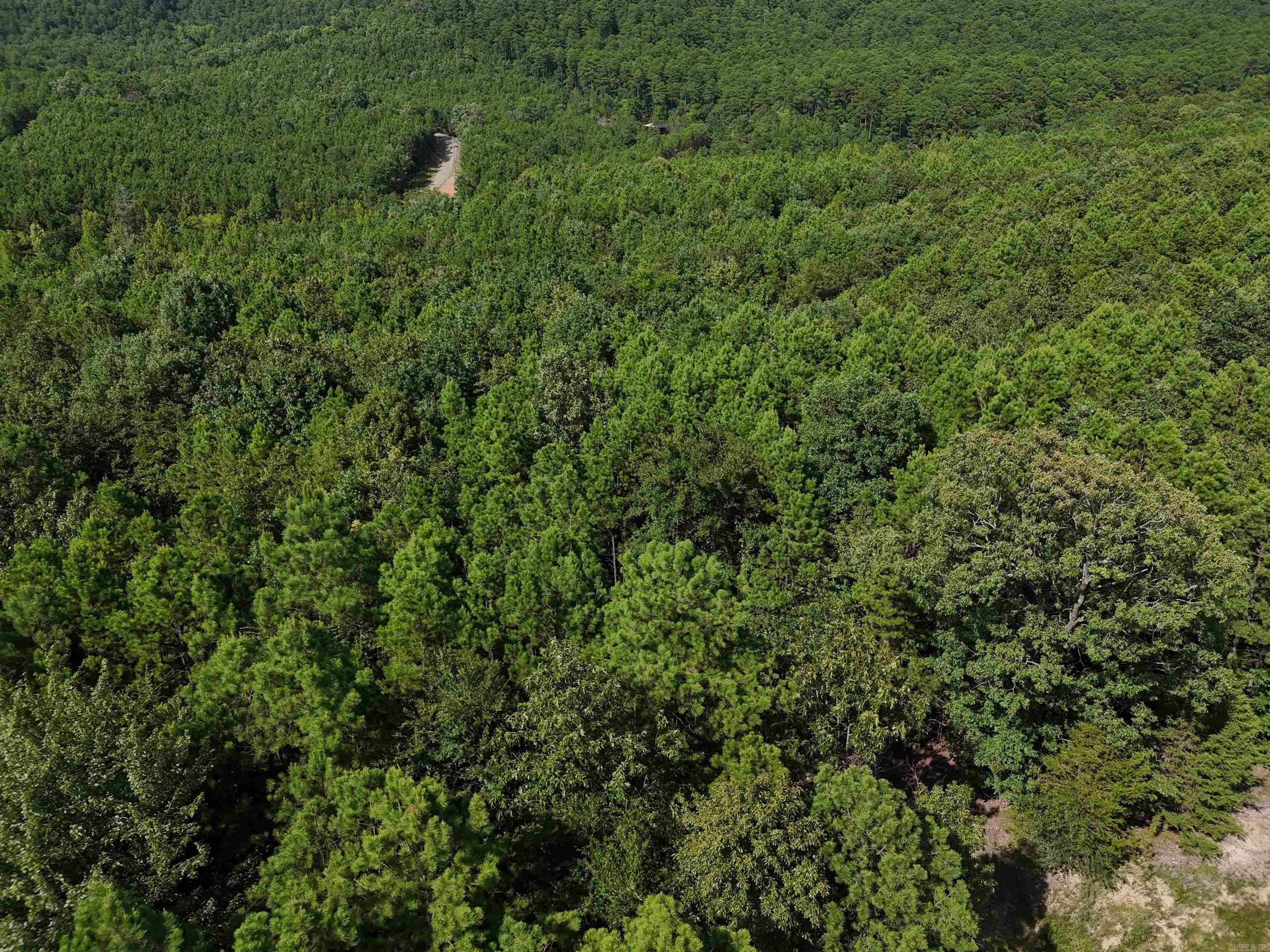 Property Photo:  Lot 10 Polk Road 78  AR 71953 