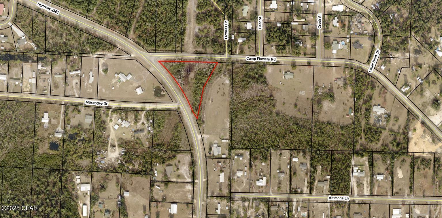 Property Photo: 0 Hwy 2301 & Camp Flowers Road FL 32466